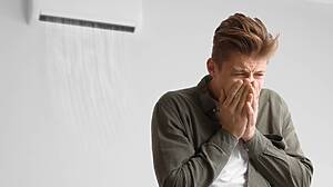 Screenshot Screenshot