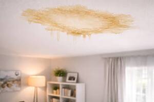 027039a5 36cf 49d4 9c4c 02972ea33d56