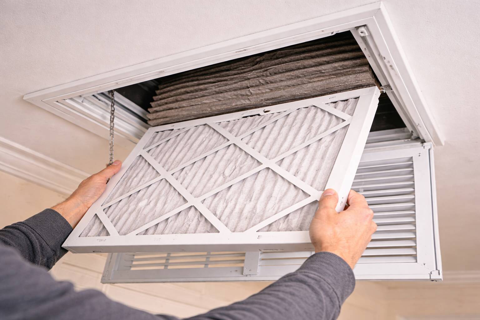 60fbe2b5 Fb43 429d B96d C940445fcb56